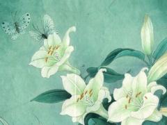 怎么看動婚 怎么看動婚運