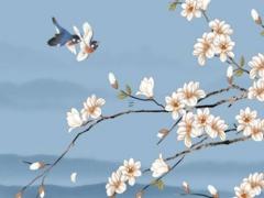 兔年本命年穿什么顏色的衣服好,兔年本命年穿什么顏色的衣服好運