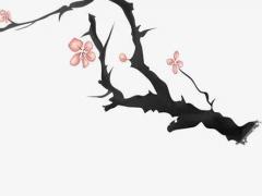 六爻卦占卜什么意思 六爻占卜基礎知識術語