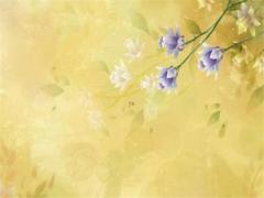 觀音靈簽91簽解簽,91中簽是說緣分已盡了嗎