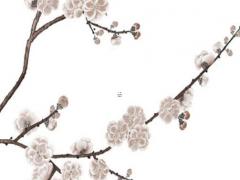 幾月的狗寶寶命更好 幾月份的狗寶寶出生最好