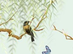 屬兔幾幾年出生的 屬兔哪幾年生的