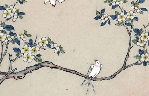 屬虎的出生年份及年齡 虎屬相出生年