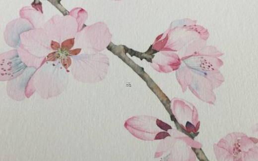 佛家中說的無常是什么意思 佛教里無常是什么意思 佛家中說的無常是什么意思 佛教里無常是什么意思