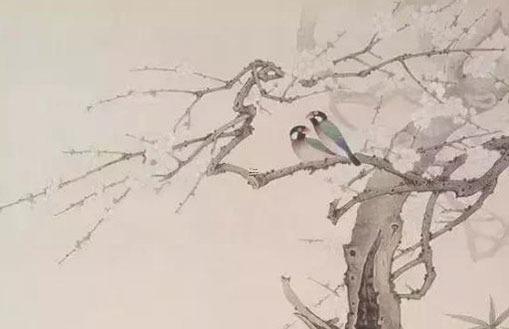 屬猴屬虎的子女緣,屬猴和屬虎的孩子屬什么好