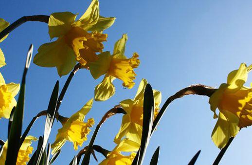 算命說不能過生日是什么意思啊 算命說有三桶半金是什么意思