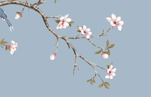 屬龍的明日運(yùn)勢(shì) 屬龍明日運(yùn)勢(shì)財(cái)運(yùn)怎么樣