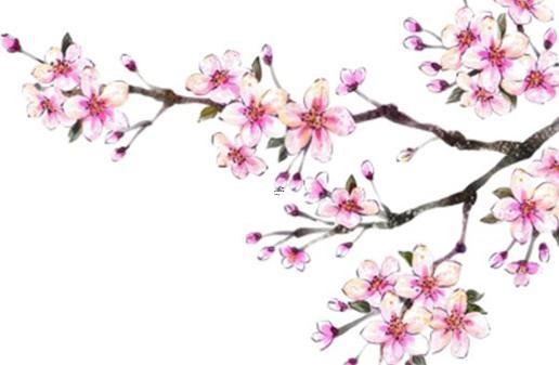 男稱(chēng)骨算命細(xì)節(jié)表詳情 男命稱(chēng)骨算法