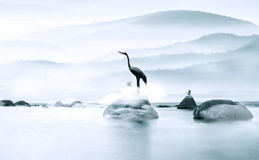 眉中間八字紋怎么消除 眉中間八字紋怎么去除 眉中間八字紋怎么消除 眉中間八字紋怎么去除