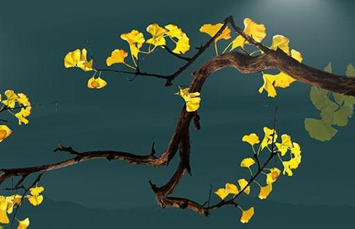 2024年農(nóng)歷4月是陽(yáng)歷幾月 2024年農(nóng)歷4月是陽(yáng)歷幾月呢