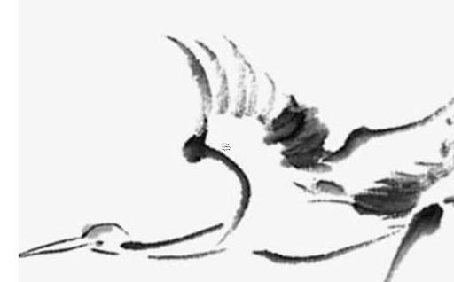 屬馬的人出生年份分別有什么 屬馬的出生年份有哪些