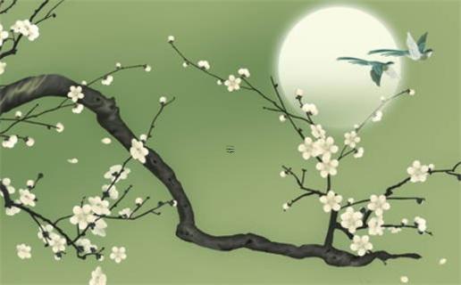 屬蛇今年穿啥顏色衣服 屬蛇今年穿什么顏色衣服