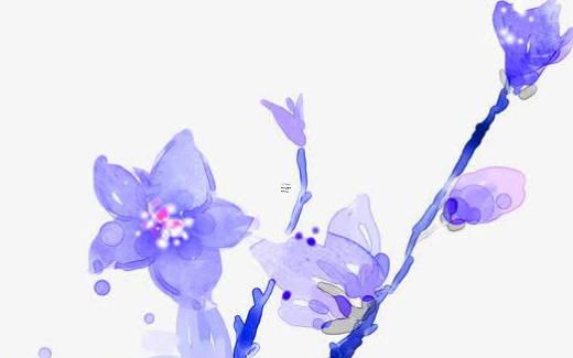 算命蜘蛛網(wǎng)是什么意思 蜘蛛網(wǎng)意味著什么