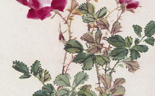 八字中喜神什么意思啊 八字算命喜神 八字中喜神什么意思啊 八字算命喜神