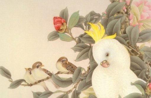 屬虎的年份及年齡表格 屬虎的年份及年齡多大