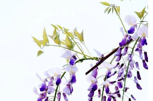 塔羅下一段戀情何時來 塔羅牌測試下一段戀情何時來