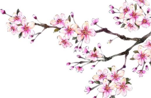 八字大是什么意思同上 寡宿在八字中代表什么意思