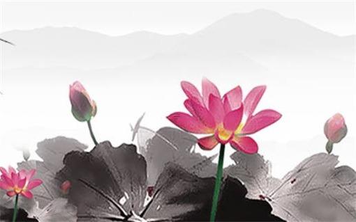 屬蛇的好不好找對象,屬蛇的找什么對象好