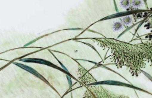 好朋友的微信群名字 好朋友的微信群名字搞笑