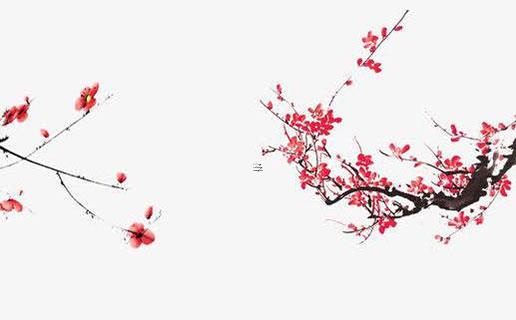 張姓男孩起名寓意好 張姓男孩的名字響亮寓意好