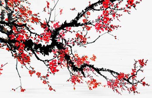 家里動物死是替人擋災(zāi) 辟邪最厲害的10種東西