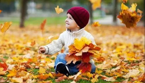 夢見摘紅棗子是什么意思