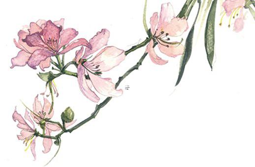年月日時簡易八字批決 八字年月日時怎么算