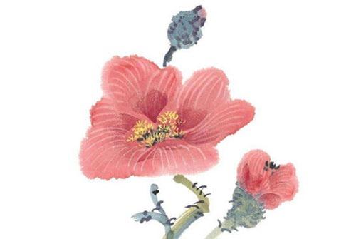 屬鼠的婚姻1996年的,屬鼠1996年的婚姻如何