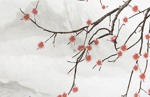 今年屬兔的穿什么衣服最旺財,屬兔今年適合穿什么顏色的衣服
