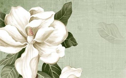 女士戴什么樣的貔貅最好 女人戴什么樣的貔貅才是招財辟邪