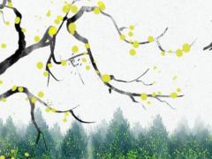 清明燒紙錢要生辰八字嗎 清明節燒紙要放炮嗎
