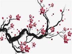 24節(jié)氣不能結(jié)婚嗎 節(jié)氣不適合結(jié)婚嗎