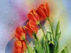 羅姓好聽的名字