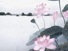 屬羊人30歲是不是關(guān)口 屬羊30歲后會(huì)轉(zhuǎn)運(yùn)嗎