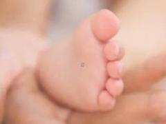 陳姓女孩取名大全2019屬豬 陳姓女孩取名大全免費2020年