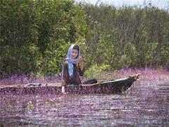 地閣扁平的女人會克夫嗎