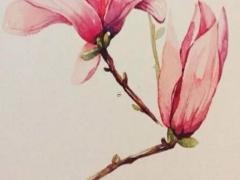 為什么摩羯座這么特殊 摩羯座什么排第一名