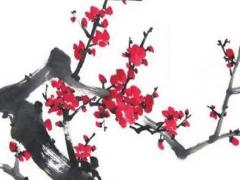 八字里金星是什么意思 金星在命格中是什么意思