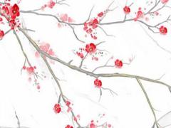 2024年是屬龍的什么年,2024年龍年是什么龍