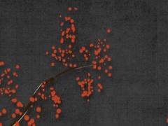 屬雞男與屬猴女的姻緣如何,屬雞男和屬猴女怎么樣