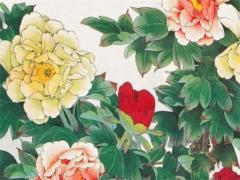 虎年的巨蟹座 虎年巨蟹座o型男性格