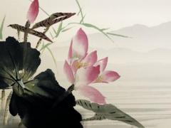 澤字五行中屬什么 澤字五行屬什么幾畫