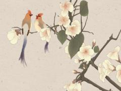 生辰八字測名大全 生辰八字測名網(wǎng)