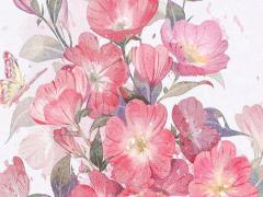 1982年屬狗女一生命運(yùn) 1982屬狗41歲后有十年大運(yùn)