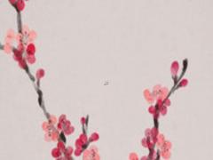 命運(yùn)之靈力是什么意思 命運(yùn)之理