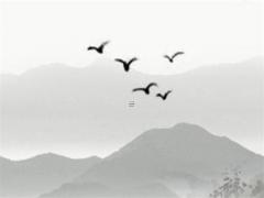 女士征婚交友自我介紹 征婚交友自我介紹短語