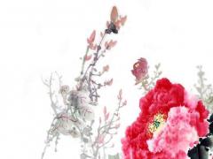 77年屬蛇人一生有幾個孩子 77年的蛇女有幾個子女