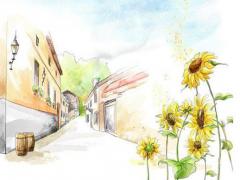 虎沖什么生肖克什么肖 虎的沖克