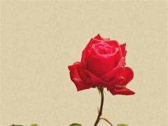 怎么知道自己八字是啥 怎么知道自己八字什么命