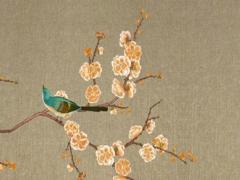 招財樹的繁殖方法 鴨掌招財樹的養殖方法